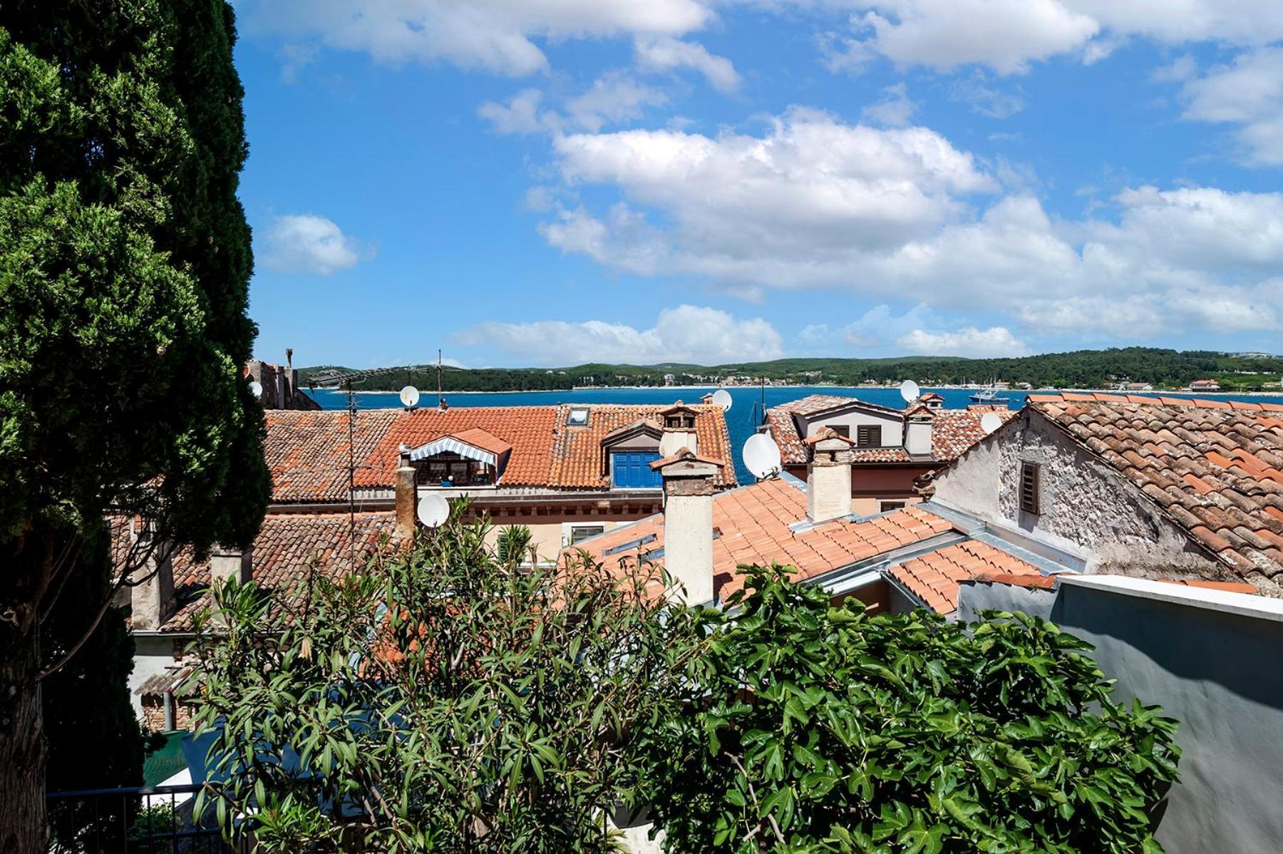 Luxury Villa Orh Rovinj Luaran gambar